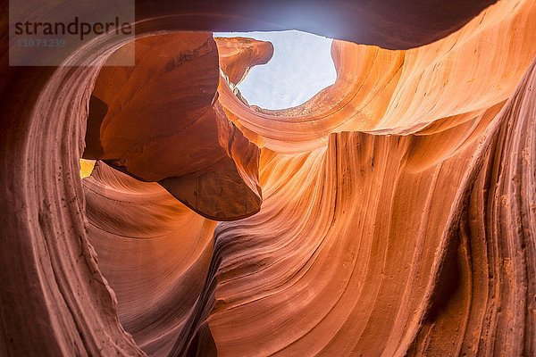 Bunte Sandsteinformation mit Lichteinfall  Lower Antelope Canyon  Slot Canyon  Page  Arizona  USA  Nordamerika