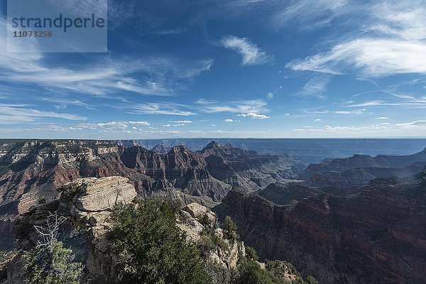 Ausblick auf North Rim  Grand Canyon Nationalpark  Arizona  USA  Nordamerika