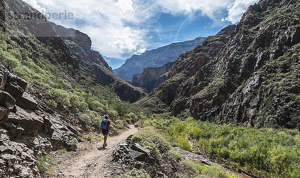 Wanderin auf dem Bright Angles Trail  Grand-Canyon-Nationalpark  Arizona  USA  Nordamerika