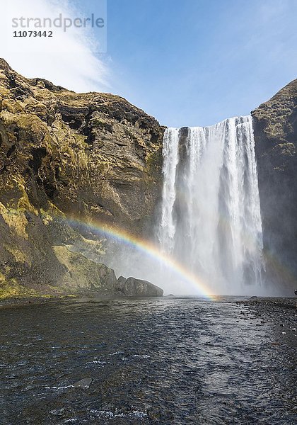 Wasserfall Skogafoss mit Regenbogen  Skogar  Süd Island  Island  Europa