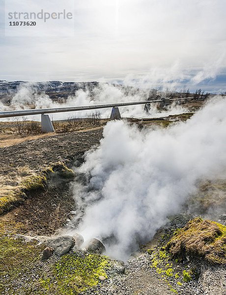 Geothermalgebiet  dampfende  heiße Quellen mit Pipeline  transport von heißem Wasser  Deildartunguhver  Reykholtsdalur  Island  Europa