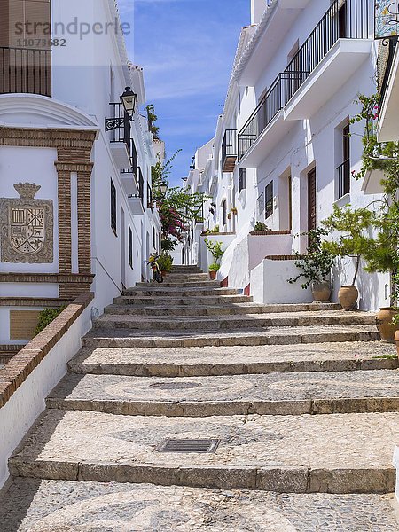 Weiße Häuser in enger Gasse  Frigiliana  Costa del Sol  Andalusien  Spanien  Europa
