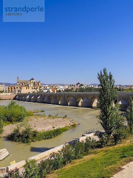 Römische Brücke  Puente Romano über den Rio Guadalquivir hinten Mezquita  Kathedrale  Cordoba  Andalusien  Spanien  Europa