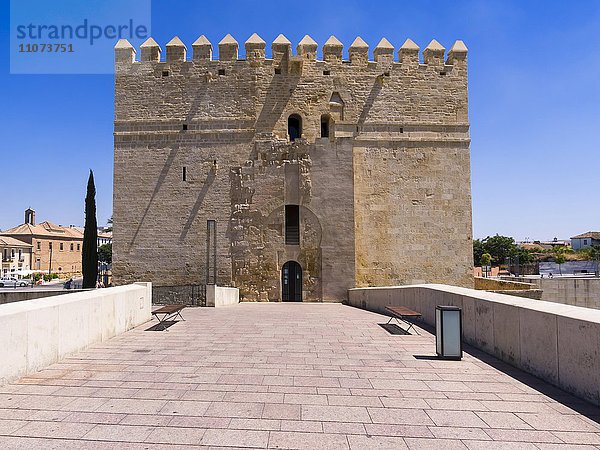 Festung Torre de la Calahorra an der römischen Brücke  Puente Romano  Museum der drei Kulturen  Rio Guadalquivir  Cordoba  Andalusien  Spanien  Europa