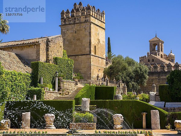 Die Gärten des Alcázar de los Reyes Cristianos  Residenz Alcazar  Cordoba  Andalusien  Spanien  Europa