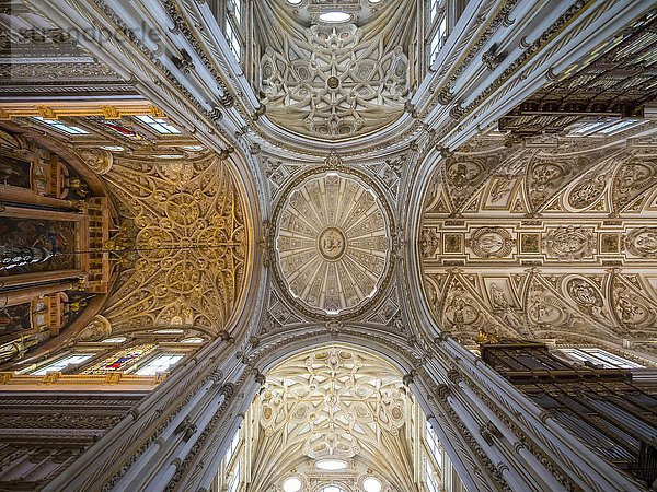 Decke der Mezquita  Mezquita-Catedral de Córdoba oder Kathedrale der Empfängnis unserer Lieben Frau  Innenansicht  Córdoba  Provinz Cordoba  Andalusien  Spanien  Europa