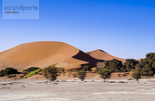 Sanddünen am Rande der Namib Wüste  Sossusvlei  Namib Naukluft Nationalpark  Hardap  Namibia  Afrika