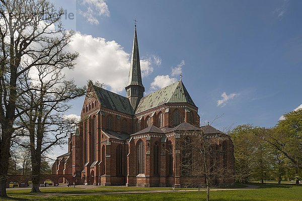 Doberaner Münster  ehemaliges Zisterzienser-Kloster  Bad Doberan  Mecklenburg-Vorpommern  Deutschland  Europa