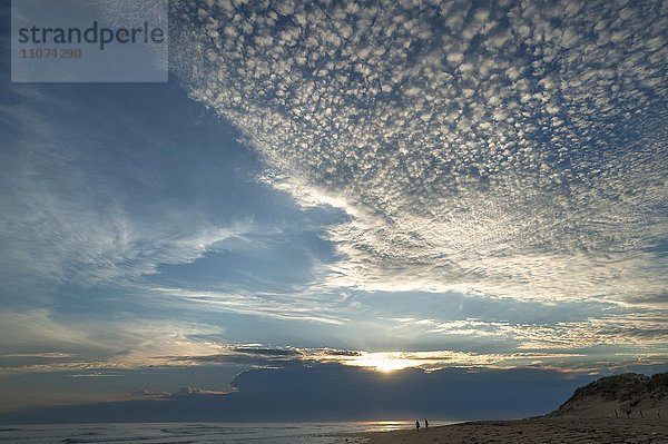 Sonnenuntergang an der Atlantikküste mit kleinen Schäfchenwolken (Cirrocumulus)  La Tranche sur Mer  Vandée  Frankreich  Europa