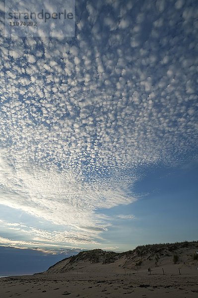 Kleine Schäfchenwolken (Cirrocumulus) an der Atlantikküste  La Tranche sur Mer  Vandée  Frankreich  Europa