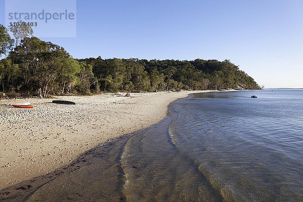 Sandstrand  UNESCO Weltnaturerbe  Fraser Island  Great Sandy National Park  Queensland  Australien  Ozeanien
