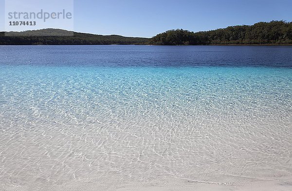Lake McKenzie  UNESCO Weltnaturerbe  Fraser Island  Great Sandy National Park  Queensland  Australien  Ozeanien