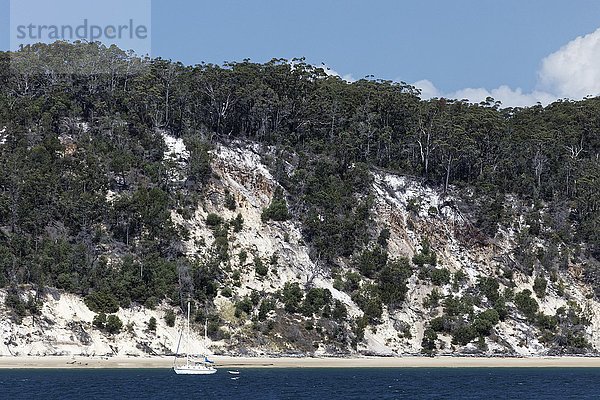 Sandige  bewaldete Steilküste mit Segelschiff  UNESCO Weltnaturerbe  Fraser Island  Great Sandy National Park  Queensland  Australien  Ozeanien