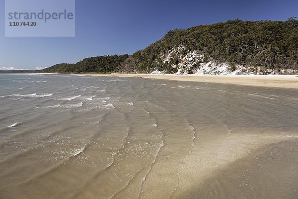 Bucht mit Sandstrand und Steilküste  UNESCO Weltnaturerbe  Fraser Island  Great Sandy National Park  Queensland  Australien  Ozeanien