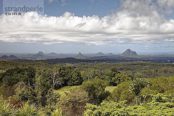 Landschaft im Glass-House-Mountains-Nationalpark  Brisbane  Queensland  Australien  Ozeanien