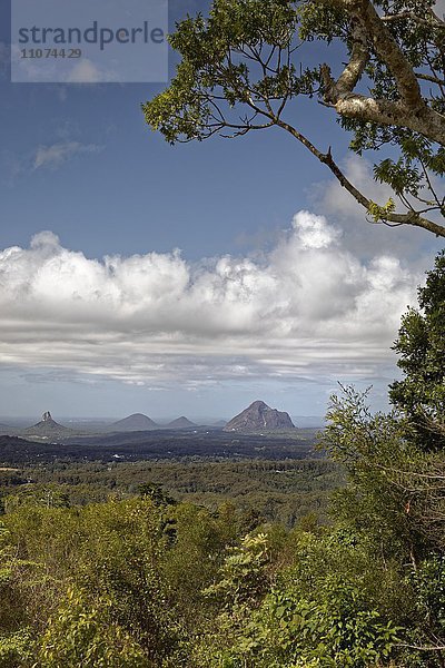 Landschaft im Glass-House-Mountains-Nationalpark  Brisbane  Queensland  Australien  Ozeanien