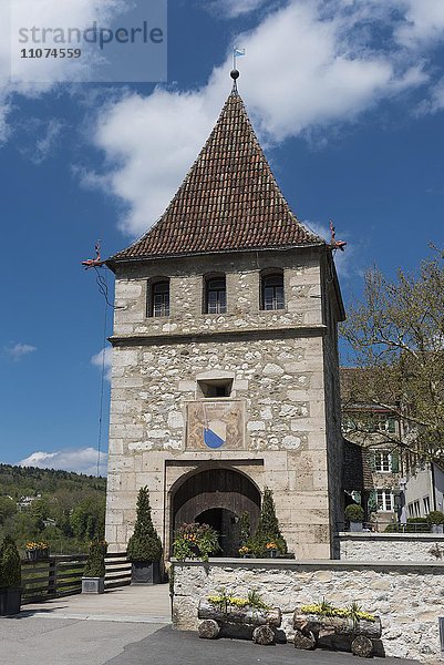 Turm mit Zürcherwappen  Schloss Laufen  bei Schaffhausen  Kanton Schaffhausen  Schweiz  Europa