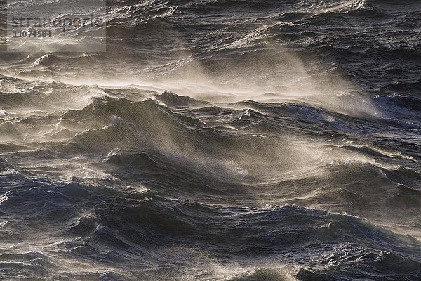 Moderater Seegang  Wellen mit Schaumkronen  Meeresoberfläche  Nordatlantik  Atlantik