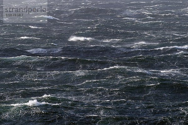 Moderater Seegang  Wellen mit Schaumkronen  Meeresoberfläche  Nordatlantik  Atlantik