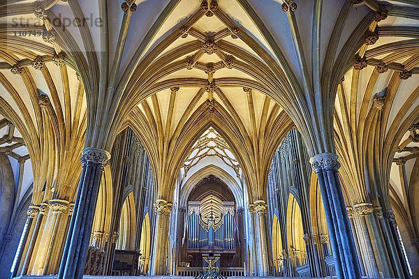 Innenansicht und Orgel  Kathedrale von Wells  Wells  Somerset  England