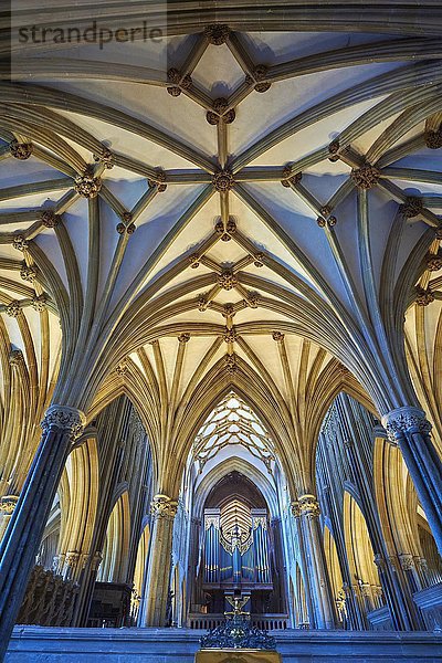Innenansicht und Orgel  Kathedrale von Wells  Wells  Somerset  England