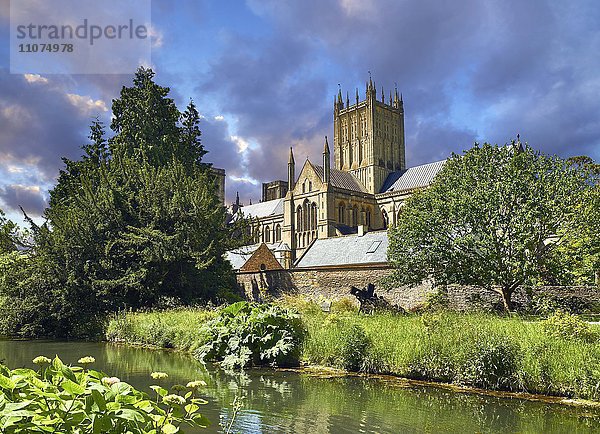 Mittelalterliche Kathedrale von Wells  Wells  Somerset  England