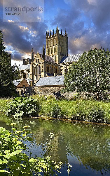 Mittelalterliche Kathedrale von Wells  Wells  Somerset  England