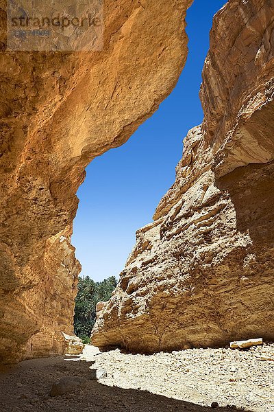 Mides-Canyon bei der Oase Mides  Sahara  Tunesien  Afrika