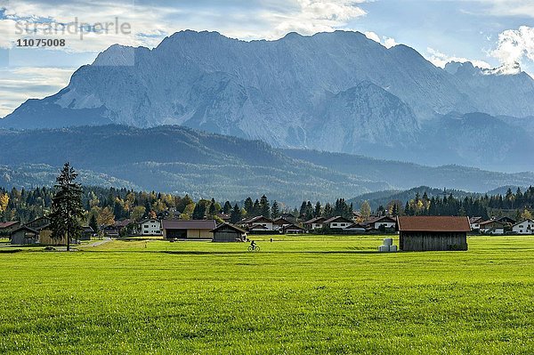 Wiese mit Heuhütten  hinten Kranzberg  Obere Wettersteinspitze  Rotplattenspitze  Wettersteinwand  Leutascher und Partenkirchner Dreitorspitze im Wettersteingebirge  Krün  Oberbayern  Bayern  Deutschland  Europa