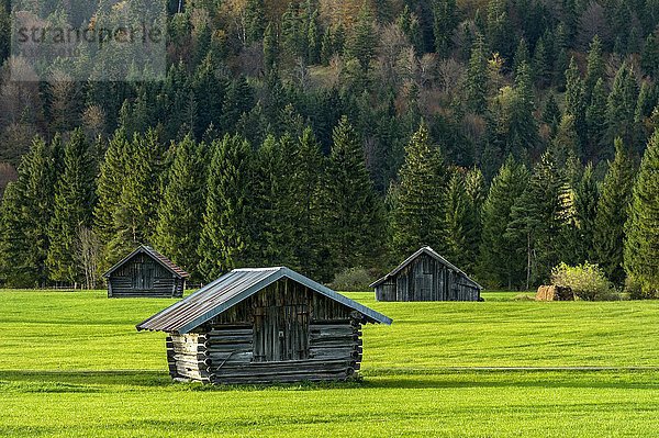 Wiese mit Heuhütten  Wallgau  Oberbayern  Bayern  Deutschland  Europa