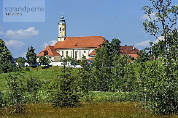 Klosterkirche Maria Verkündigung  Kloster Reutberg  Sachsenkam  Isarwinkel  Oberbayern  Bayern  Deutschland  Europa