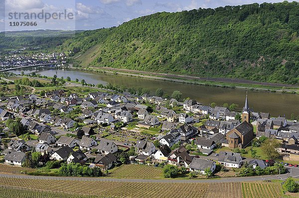 Ortsansicht von Alken an der Mosel  Landkreis Mayen-Koblenz  Untermosel  Terrassenmosel  Rheinland-Pfalz  Deutschland  Europa