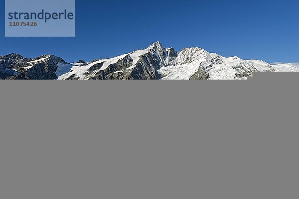 Großglockner mit Pasterze  Nationalpark Hohe Tauern  Kärnten  Österreich  Europa