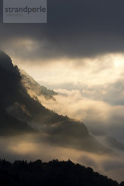 Nebelschwaden am Berghang über dem Inntal  Sonne scheint durch Wolken  Stans  Tirol  Österreich  Europa