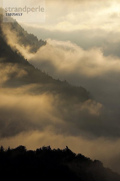 Nebelschwaden  Wolken am Berghang über dem Inntal  Stans  Tirol  Österreich  Europa