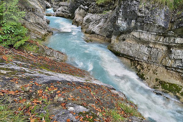 Rißbach im Herbst  Hinterriß  Tirol  Österreich  Europa