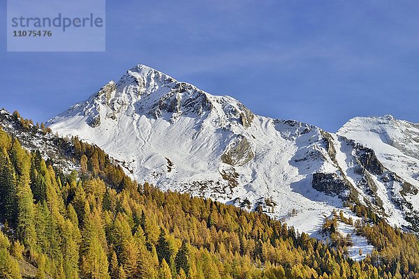 Schoberspitzen und Olperer  von Toldern Ausblick  Tirol  Österreich  Europa