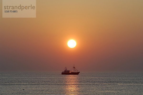 Boot  Fischkutter bei Sonnenuntergang  Texel  Westfriesische Inseln  Nordholland  Niederlande  Europa