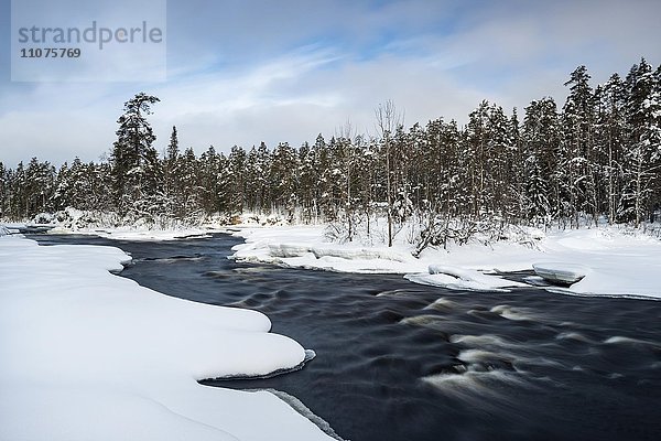 Winterlandschaft am Fluss Oulankajoki  Oulanka Nationalpark  Lappland  Finnland  Europa