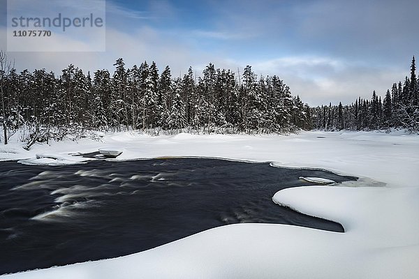Winterlandschaft am Fluss Oulankajoki  Oulanka Nationalpark  Lappland  Finnland  Europa