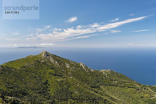 Ausblick auf Berg Monte Giove  Nationalpark Toskanischer Archipel  Insel Elba  Provinz Livorno  Toskana  Italien  Europa