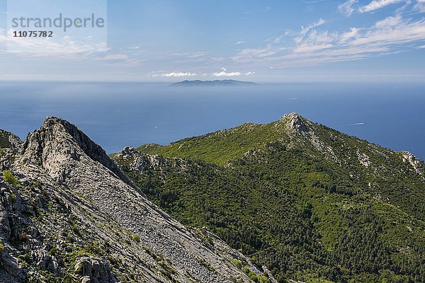 Ausblick vom Berg Monte Capanne auf Berg Monte Giove  Nationalpark Toskanischer Archipel  Insel Elba  Provinz Livorno  Toskana  Italien  Europa