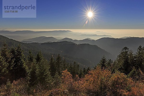 Sonnenuntergang am Schliffkopf  Herbst  Schwarzwaldhochstraße  Nationalpark Schwarzwald  Nordschwarzwald  Baden-Württemberg  Deutschland  Europa