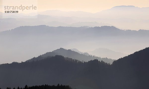 Sonnenuntergang am Schliffkopf  Herbst  Schwarzwaldhochstraße  Nationalpark Schwarzwald  Nordschwarzwald  Baden-Württemberg  Deutschland  Europa