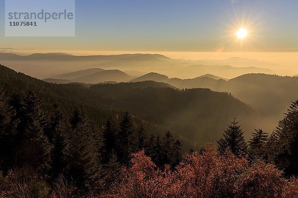 Sonnenuntergang am Schliffkopf  Herbst  Schwarzwaldhochstraße  Nationalpark Schwarzwald  Nordschwarzwald  Baden-Württemberg  Deutschland  Europa