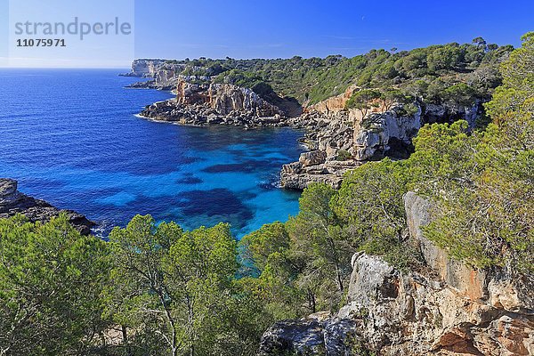 Felsenküste  Cala de s'Almunia  Mallorca  Balearen  Mittelmeer  Spanien  Europa