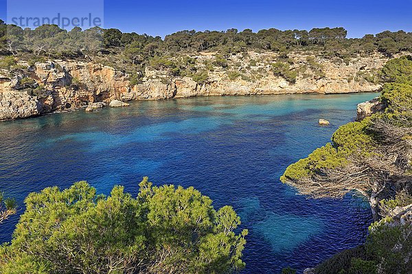Türkisblaues Wasser in der Bucht von Cala Pi  Mallorca  Balearen  Mittelmeer  Spanien  Europa