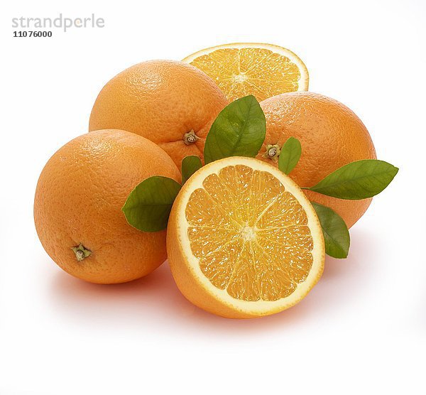 Orangen (Citrus sinensis) mit Blättern auf weißem Hintergrund