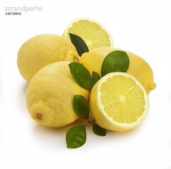 Zitronen (Citrus x limon) mit Blättern auf weißem Hintergrund