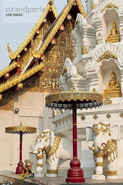 Elefanten und Buddha-Statuen am Chedi oder Stupa  Tempel Wat Klang Wiang  Chiang Rai  Chiang Rai Provinz  Nordthailand  Thailand  Asien